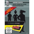 Andrew Martin: Erste Schritte in der Schachstrategie