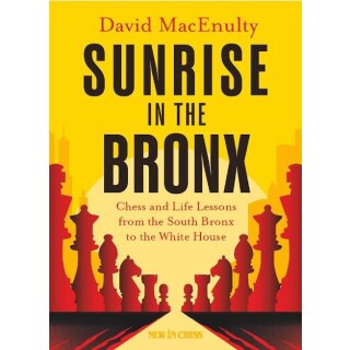 David MacEnulty: Sunrise in the Bronx