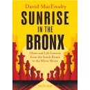 David MacEnulty: Sunrise in the Bronx